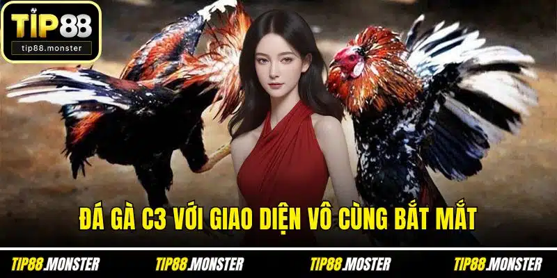 Đá gà c3 với giao diện vô cùng bắt mắt