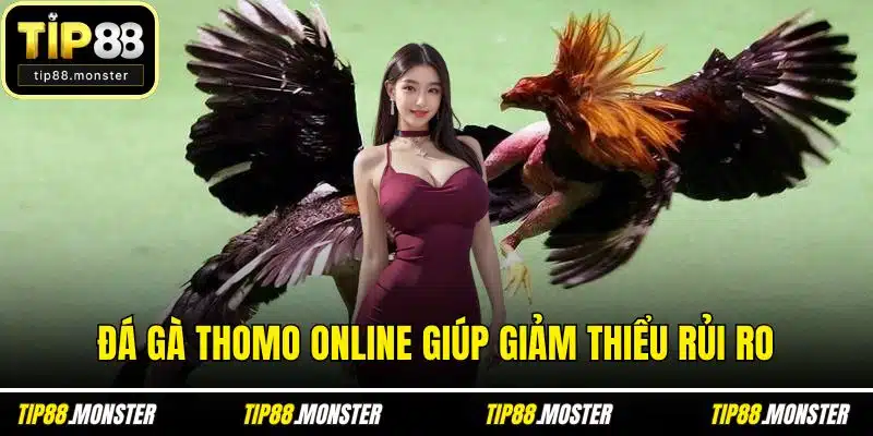 Đá gà Thomo online giúp giảm thiểu rủi ro