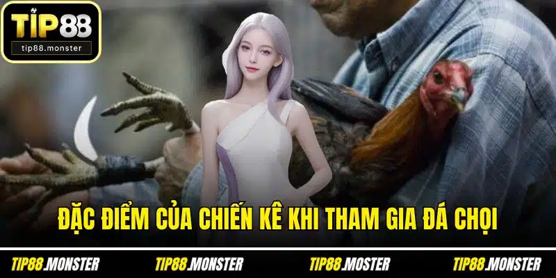 Đặc điểm của chiến kê khi tham gia đá chọi