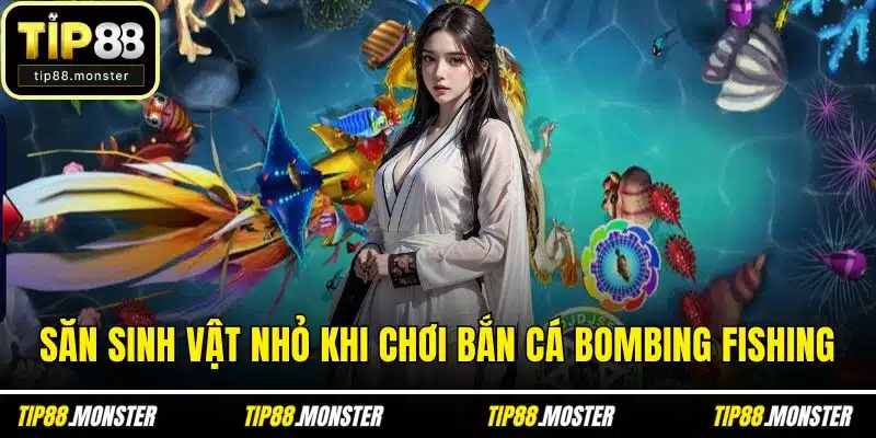 Săn sinh vật nhỏ khi chơi bắn cá bombing fishing